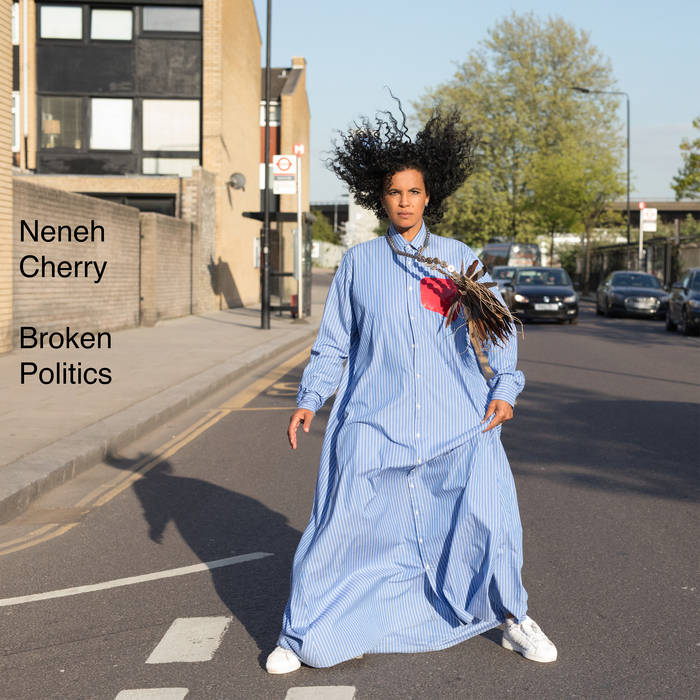 Cover of 'Broken Politics' - Neneh Cherry